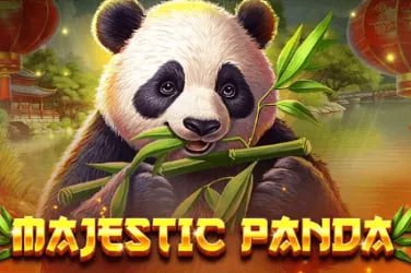 pkgame ব্যবহারকারীর অ্যাকাউন্ট সুরক্ষা ও লগইন সতর্কতা